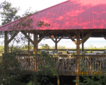 birdwatching_roof