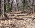 walking_trail_to_Lighthouse